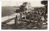 CPIB 22595 - CARTE POSTAL - CONSTANTA. PE FALEZA