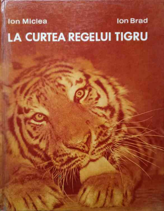 LA CURTEA REGELUI TIGRU-ION MICLEA, ION BRAD-141316