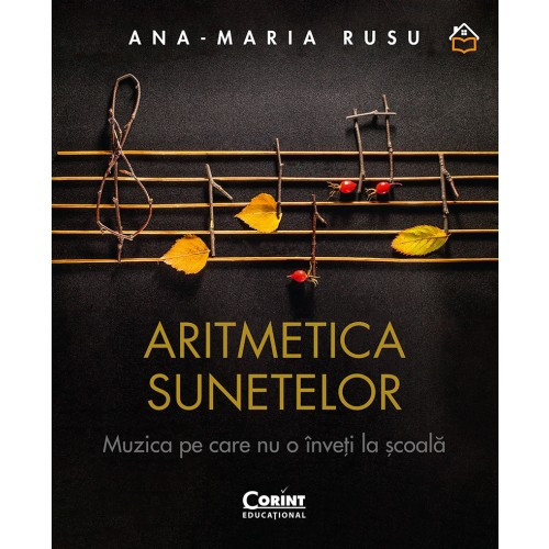 Aritmetica sunetelor. Muzica pe care nu o inveti la scoala, Ana-Maria Rusu