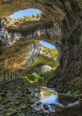 Tablou canvas Natura98, 40 x 60 cm foto