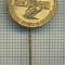 Y 357 INSIGNA - MOTOCICLISM -AUTOMOTODROM RIJEKA -YUGOSLAVIA-PENTRU COLECTIONARI
