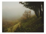 Tablou Canvas, "Misterul pădurii &icirc;n ceață misterioasă", Ceață, Copaci, Deal, Vegetație, Liniște, Mister, Natură, Frunziș, Umbre, Peisaj, 39 x 26 cm, C