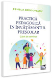 Practica pedagogică &icirc;n &icirc;nvățăm&acirc;ntul preșcolar - Paperback brosat - Camelia Br&icirc;ncoveanu - Pro Universitaria
