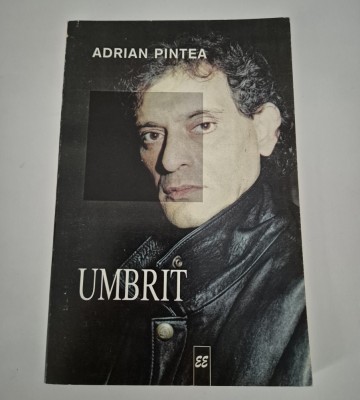 Adrian Pintea Umbrit Versuri foto