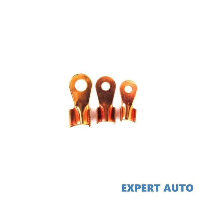 Papuci borna 100a &Oslash;6mm Alta marca Alt model #7