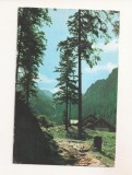 RF189 - Carte Postala - Muntii Fagaras. Cabana Balea Cascada, circulata