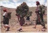 bnk cp Maroc - Femei din Muntii Atlas - necirculata