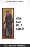 Avva Ioan de la Colciu - Danion Vasile