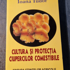 Cultura si protectia ciupercilor comestibile Ioana Tudor