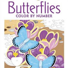 Creative Haven Butterflies Color by Number Coloring Book