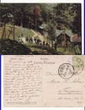 Sinaia - Pescaria - animata, RR