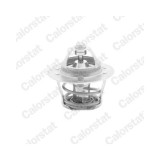 Calorstat by Vernet termostat, lichid racire