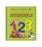 Numerele. Sunt mic și vreau să aflu - Hardcover - *** - Aramis