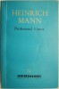 Profesorul Unrat - Heinrich Mann - Roman