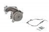 Pompa apa FORD FOCUS II (DA) (2004 - 2012) THERMOTEC D1G038TT