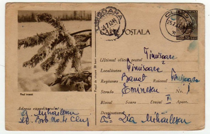 CP PINUL TROENIT MARCA FIXA 30 BANI