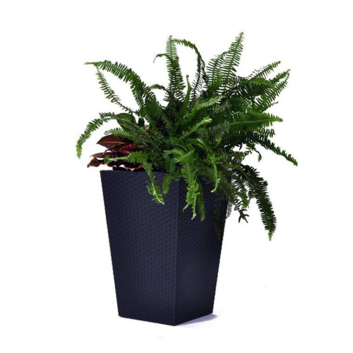 Ghiveci Rattan M, grafit