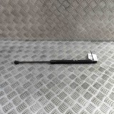 Amortizor Haion Stanga VW Tiguan 5N 2007-2018 5N0827550D AUGER TRUCKTEC TRIDON Garantie 12 Luni