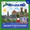 Nyugati kar&eacute;j - Br&uacute;n&oacute; a Balatonon 3. - Bartos Erika