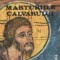Marturiile Calvarului