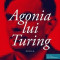 Agonia lui Turing | David Lagercrantz