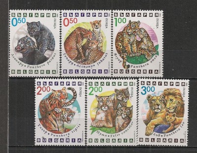 Bulgaria.1992 Animale de prada SB.211 foto