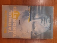 Taramul Tandretei - Ilie Tanasache foto