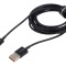 Cablu USB 2.0 High Speed A la B micro 2m 2A