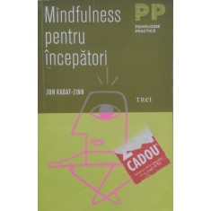 Mindfulness Pentru Incepatori - Jon Kabat-zinn , E320