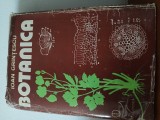 Botanica-Ioan Grințescu