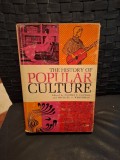 The History of Popular Culture - Norman F. Cantor și Michael S. Werthman