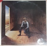 Don McLean &ndash; Homeless Brother , LP, US, 1974, stare excelenta (VG+)