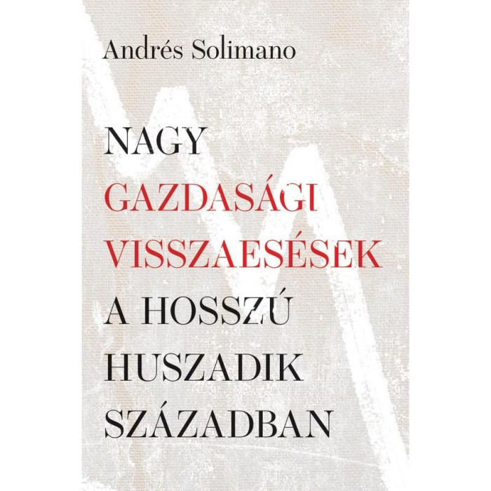 Nagy gazdas&aacute;gi visszaes&eacute;sek a hossz&uacute; huszadik sz&aacute;zadban - Andr&eacute;s Solimano