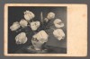 CPIB 20855 - CARTE POSTALA, FELICITARE - VAZA CU LALELE ALBE, IMPORT, Necirculata, Printata