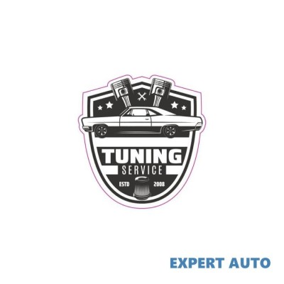 Abtibild retro tuning service cod:tag 013 / t2 Alta marca Alt model #7 foto