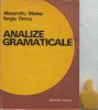 Analize gramaticale Sergiu Drincu, Alexandru Metea