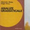 Analize gramaticale Sergiu Drincu, Alexandru Metea