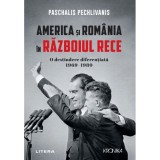 America si Romania in razboiul rece. O destindere diferentiata 1969?1980, Paschalis Pechlivanis, Litera