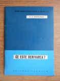 Ce este derivarea? V.G. Bolteanski