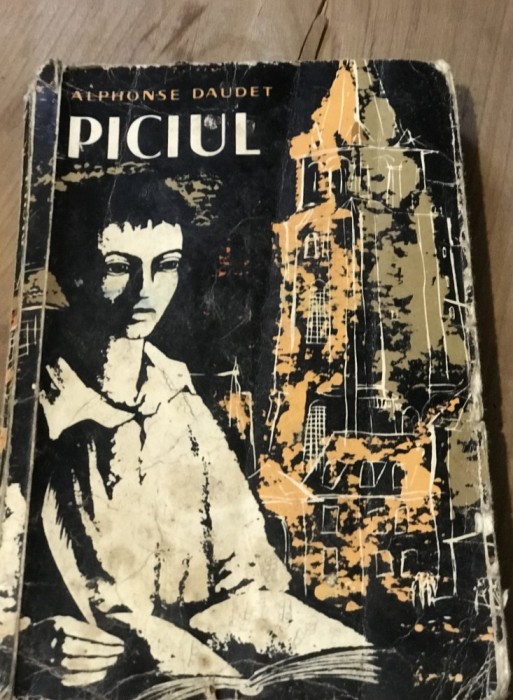 LITR1 Literatura Piciul