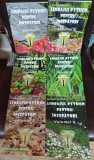 Limbajul Python pentru incepatori - Gabriel Braharu 6 volume