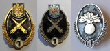 LOT 3 insigne specialist de clasa artilerie, infanterie, cl. 1, Romania