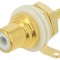 Conector Placă pentru Litere Violet