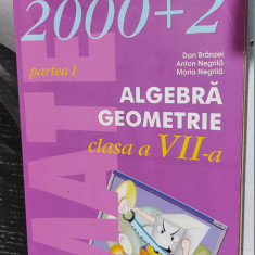 ALGEBRA GEOMETRIE CLASA A VII A PARTEA I , BRANZEI . NEGRILA .