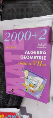 ALGEBRA GEOMETRIE CLASA A VII A PARTEA I , BRANZEI . NEGRILA . foto