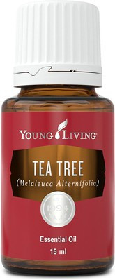 Ulei Esential Arbore de Ceai (Ulei Esential Tea Tree) foto