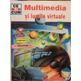 Rainer Kothe - Multimedia si lumile virtuale (2000)