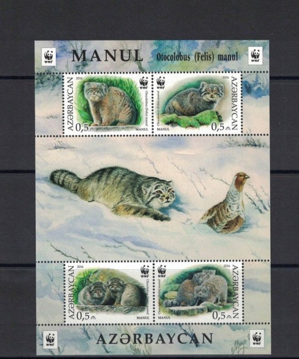 AZERBAIJAN 2016 WWF FAUNA PROTEJATA MANUL