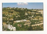 FA44-Carte Postala- ISRAEL - Jerusalem, Garden of Ghethsemane, necirculata, Fotografie