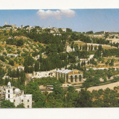 FA44-Carte Postala- ISRAEL - Jerusalem, Garden of Ghethsemane, necirculata